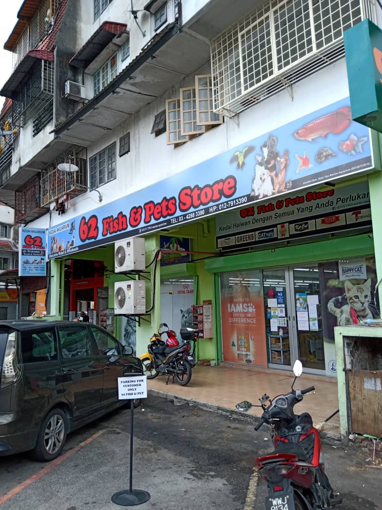 Pusat Haiwan Ampang 安邦宠物中心 4